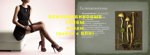 прущая мука Вяземский