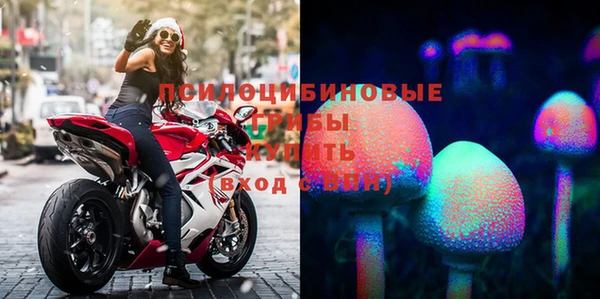 прущая мука Вяземский