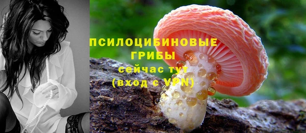 герыч Вязьма