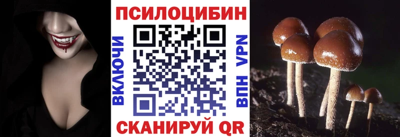 Галлюциногенные грибы Cubensis  где продают   Дегтярск 